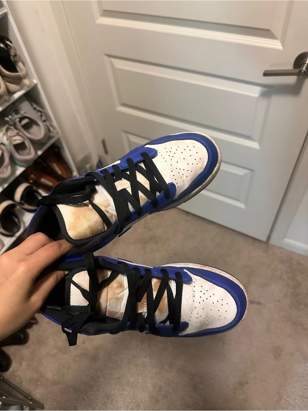 Air Jordan 1 Low in Royal blue